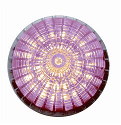 United Pacific Taillight Assemblies CTL5911LED