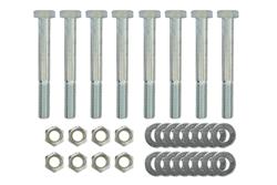 UMI Performance Replacement Control Arm Bolts 3002
