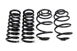 UMI Performance Stock Height Springs 4049