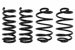 UMI Performance Lowering Springs 3051