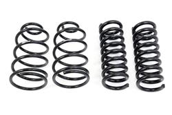 UMI Performance Stock Height Springs 4048