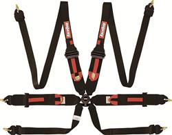 RaceQuip FIA Camlock  6-Point Harness 854004RQP