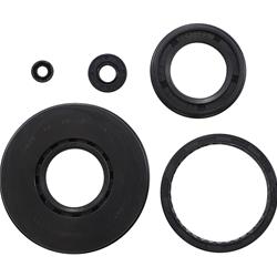 Vertex Pistons Oil Seals 55197