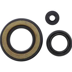 Vertex Pistons Oil Seals 55198