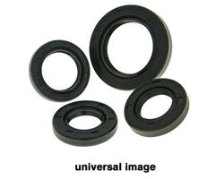 Vertex Pistons Oil Seals 624101