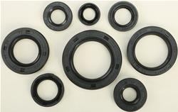 Vertex Pistons Oil Seals 822106