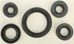 Vertex Pistons Oil Seals 822136