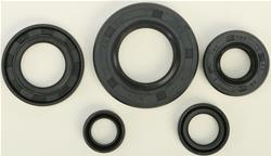 Vertex Pistons Oil Seals 822165