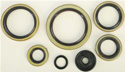 Vertex Pistons Oil Seals 822192