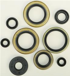 Vertex Pistons Oil Seals 822296