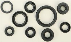 Vertex Pistons Oil Seals 822319