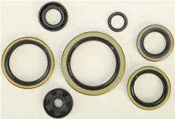 Vertex Pistons Oil Seals 822326