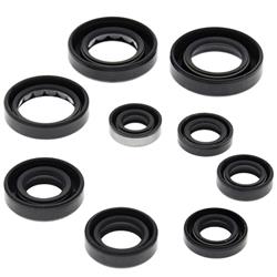 Vertex Pistons Oil Seals 822341