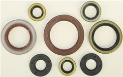 Vertex Pistons Oil Seals 822356