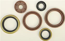 Vertex Pistons Oil Seals 822360