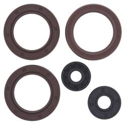 Vertex Pistons Oil Seals 822362