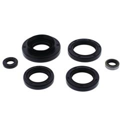 Vertex Pistons Oil Seals 822366
