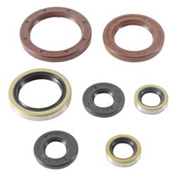 Vertex Pistons Oil Seals 822372