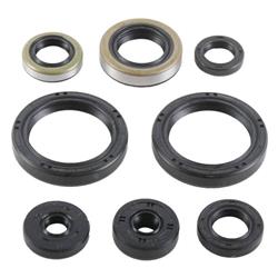 Vertex Pistons Oil Seals 822977