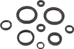 Vertex Pistons Oil Seals 822989