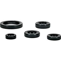 Vertex Pistons Oil Seals 822994