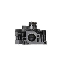 VEGE Remanufactured Cylinder Heads 2P62