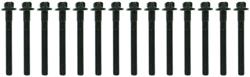 Mahle Original Head Bolt Kits for 2005-2006 E320 - GS33422A