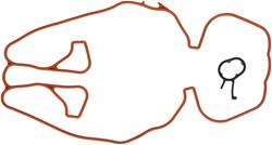 Mahle Original Intake Manifold Gaskets for 2000-2002 SC2, SL2, 2000-2001 SW2 - MS19455