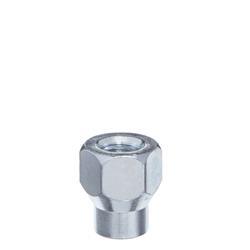 West Coast Accessories Lug Nuts W3475O