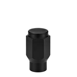 West Coast Accessories Lug Nuts W3415B