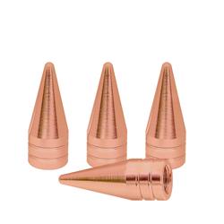 West Coast Accessories Tire Valve Stems WSPK-SCRSG