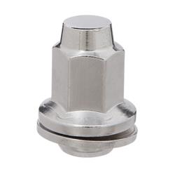 West Coast Accessories Lug Nuts WT4-229