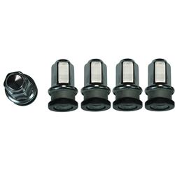 Wagner Brakes - Lug Nuts and Lug Bolts for 2000-2004 F-150, 2004 F-150 HERITAGE - BD140001