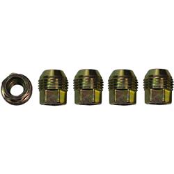 Wagner Brakes - Lug Nuts and Lug Bolts for 2000-2005 SABLE, 2000-2007 TAURUS, 1999-2003 WINDSTAR - BD140017