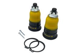 WHITELINE - Ball Joints for 2005-2006 RSX - KCA519