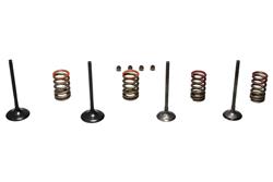Wiseco Pistons RED0041XS