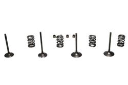 Wiseco Pistons RED0042X4