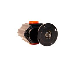 Waterman Racing Standard LIL' Bertha Fuel Pumps 20964