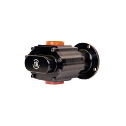 Waterman Racing Standard LIL' Bertha Fuel Pumps 21014