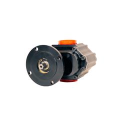 Waterman Racing Standard LIL' Bertha Fuel Pumps 21022