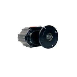 Waterman Racing Nostalgia LIL' Bertha Fuel Pumps 21313