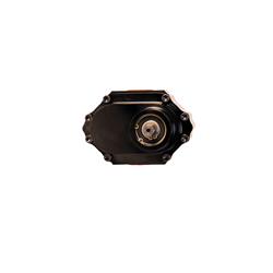 Waterman Racing Nostalgia LIL' Bertha Fuel Pumps 21719