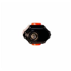 Waterman Fuel Pumps 21811