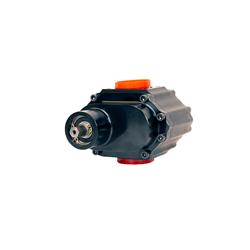 Waterman Racing Standard LIL' Bertha Fuel Pumps 22020