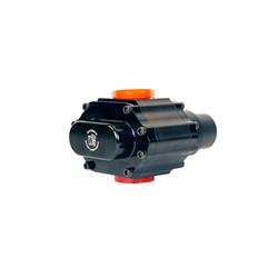 Waterman Racing Standard LIL' Bertha Fuel Pumps 22067