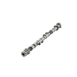 ZZPerformance Camshafts ZZ-LNFCMFL-335+PUMP