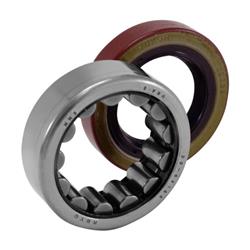 Yukon Gear & Axle Bearings