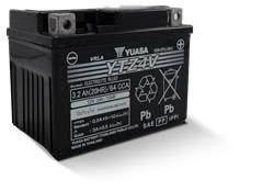 Yuasa AGM High Performance Maintenance-Free Batteries YTZ4V