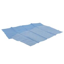 ZYCoat ZyClear Lint-Free Wipes 15100