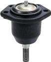Allstar Performance Ball Joints ALL56208